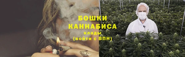 гидра Лагань
