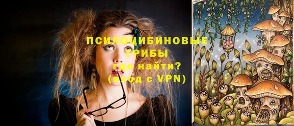сатива Орехово-Зуево