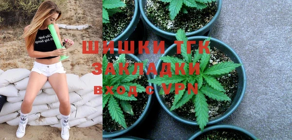 гидра Лагань