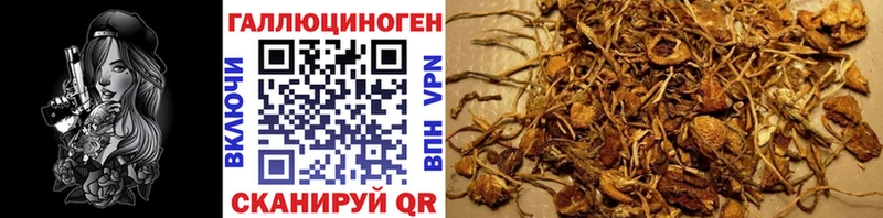 Галлюциногенные грибы ЛСД  Пойковский 